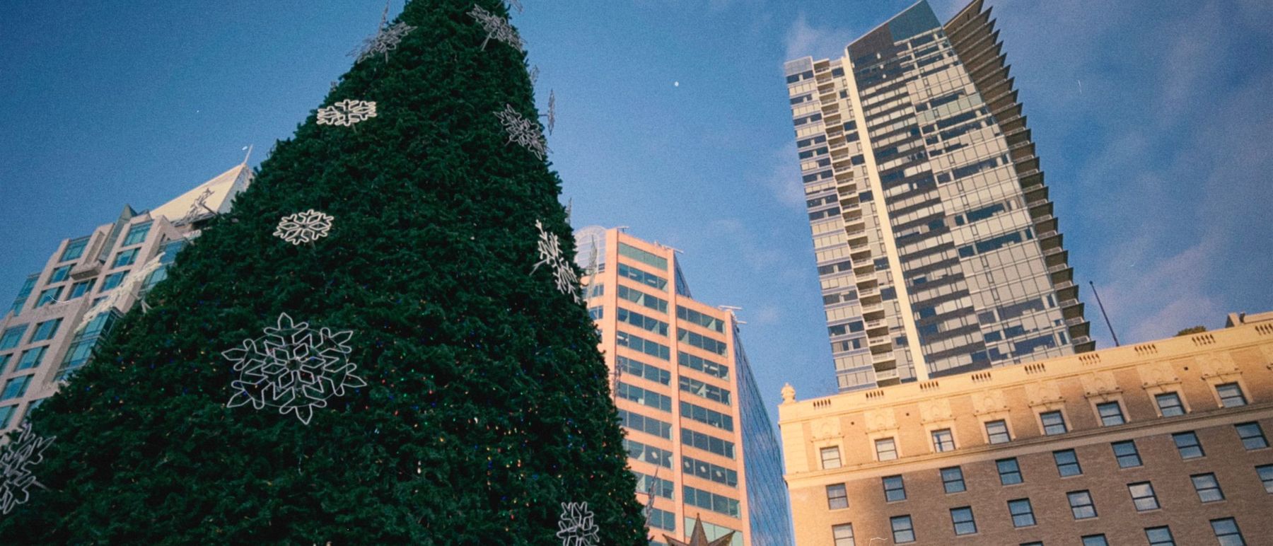 Large holiday tree decorated with stars between downtown towers