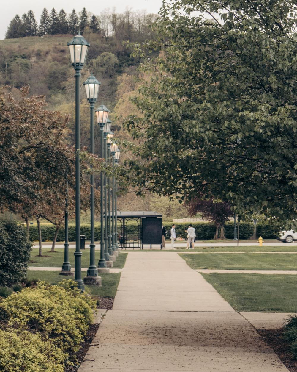 Park walkway lined with old-fashioned lamp posts below a wooded hillside