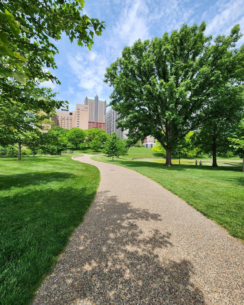 Curving path through a green park lawn with city buildings beyond the trees
